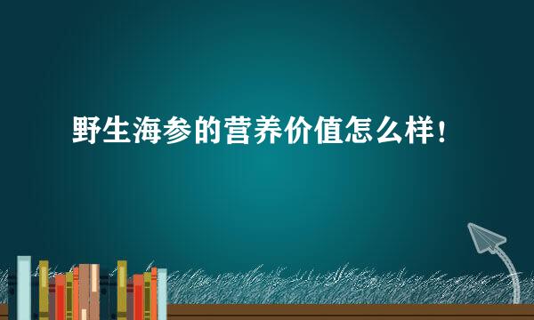 野生海参的营养价值怎么样！