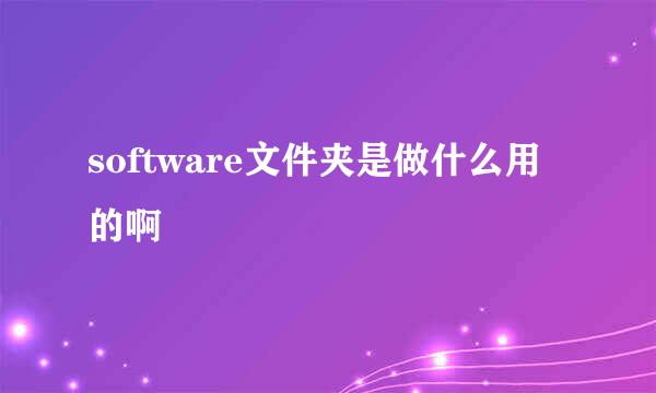 software文件夹是做什么用的啊