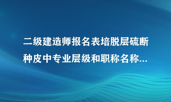 二级建造师报名表培脱层硫断种皮中专业层级和职称名称如何填写