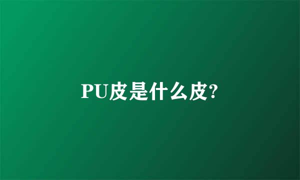 PU皮是什么皮?