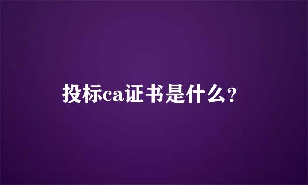 投标ca证书是什么？