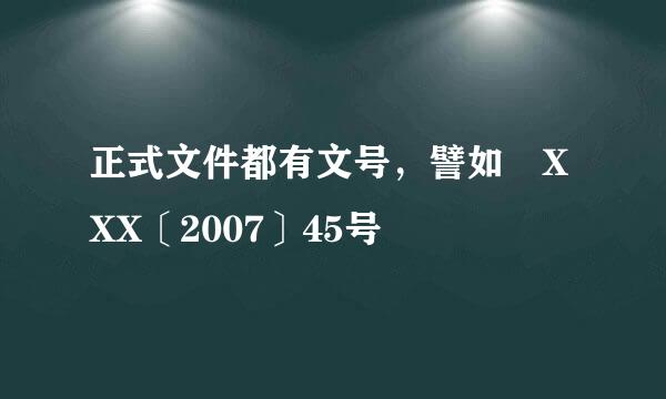 正式文件都有文号，譬如 XXX〔2007〕45号