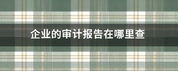 企业来自的审计报告在哪里查