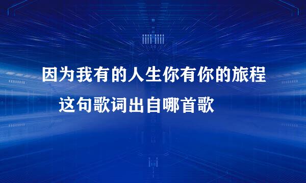 因为我有的人生你有你的旅程 这句歌词出自哪首歌