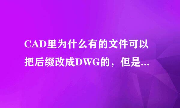 CAD里为什么有的文件可以把后缀改成DWG的，但是有些为什么不行呢，