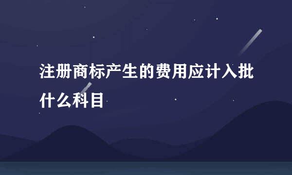 注册商标产生的费用应计入批什么科目