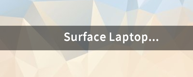 Sur来自face Laptop 3