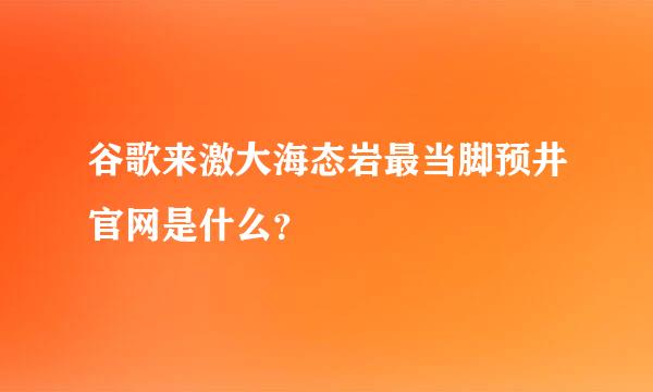 谷歌来激大海态岩最当脚预井官网是什么？