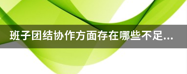 班子来自团结协作方面存在哪些不足或问题？