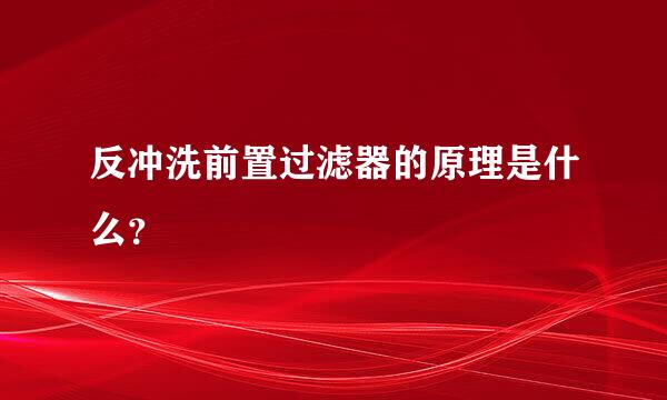 反冲洗前置过滤器的原理是什么？