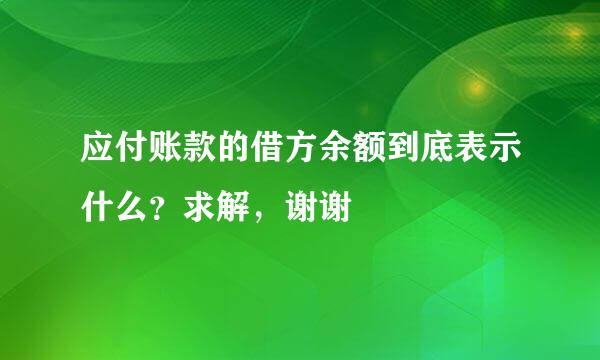 应付账款的借方余额到底表示什么？求解，谢谢