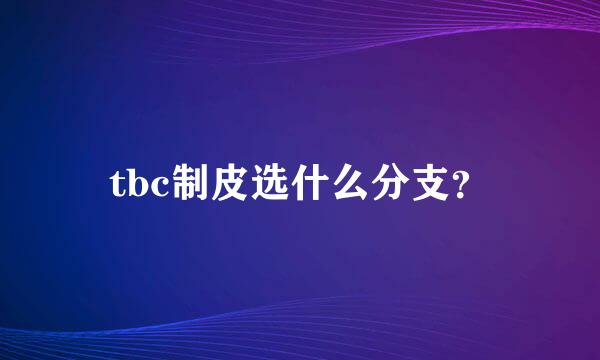 tbc制皮选什么分支？