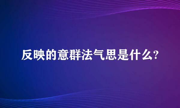 反映的意群法气思是什么?