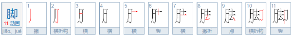 脚字的笔顺笔画顺序