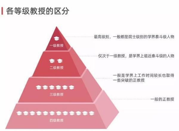 二级教授什么级别