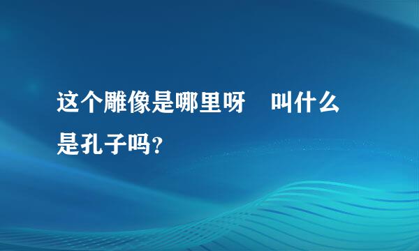 这个雕像是哪里呀 叫什么 是孔子吗？