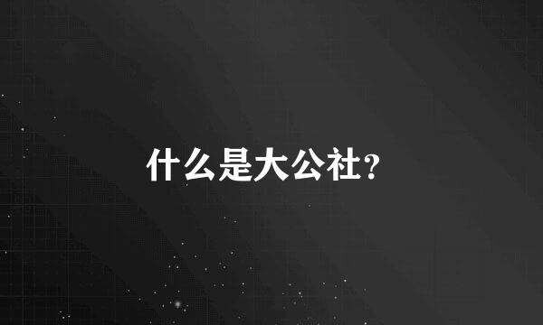 什么是大公社？