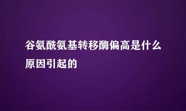 谷氨酰氨基转移酶偏高是什么原因引起的