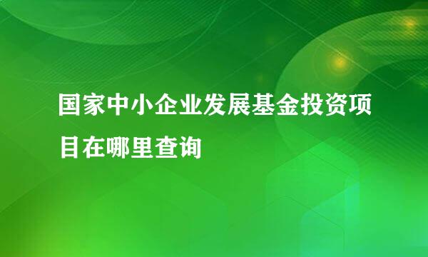 国家中小企业发展基金投资项目在哪里查询