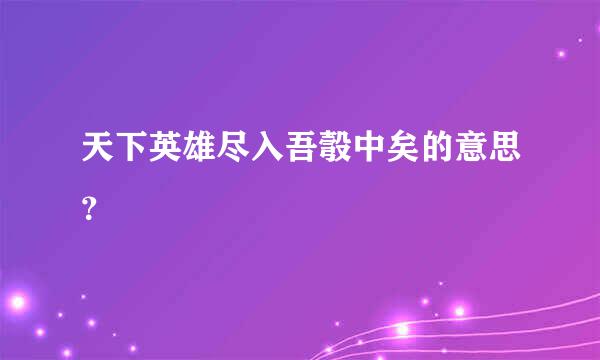 天下英雄尽入吾彀中矣的意思？