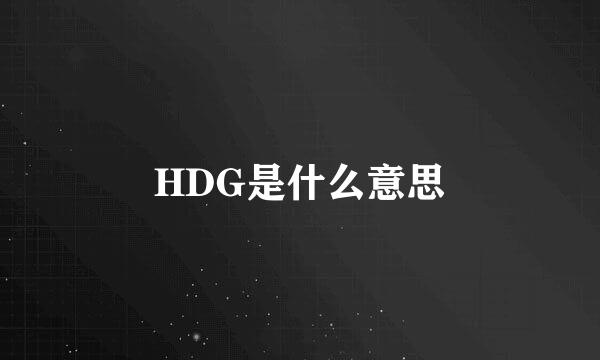 HDG是什么意思