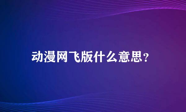 动漫网飞版什么意思？