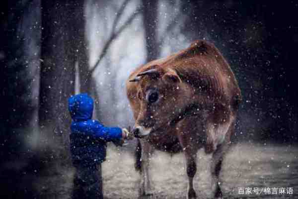 五牛图的寓意是什助么？