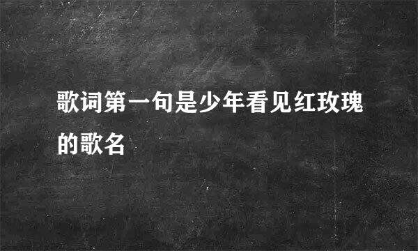 歌词第一句是少年看见红玫瑰的歌名