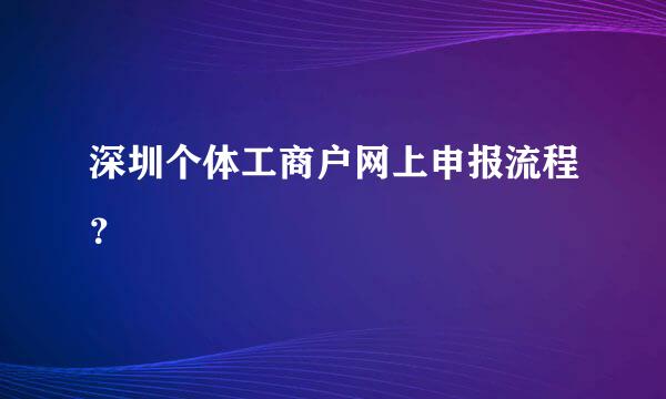 深圳个体工商户网上申报流程？