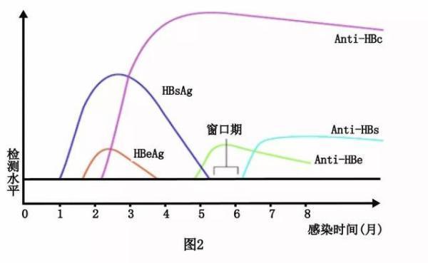 什么是窗口期