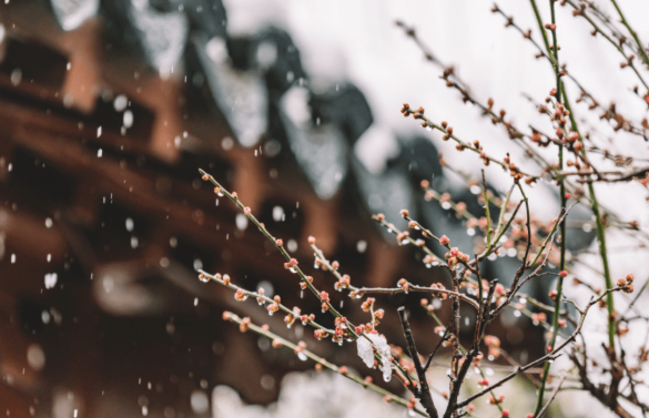 雪的18种雅称