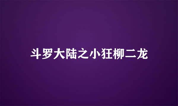 斗罗大陆之小狂柳二龙