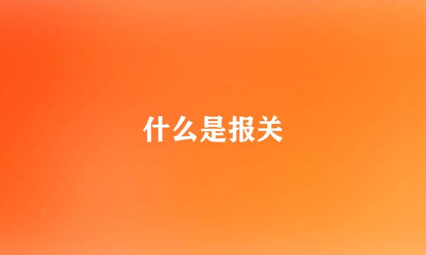 什么是报关