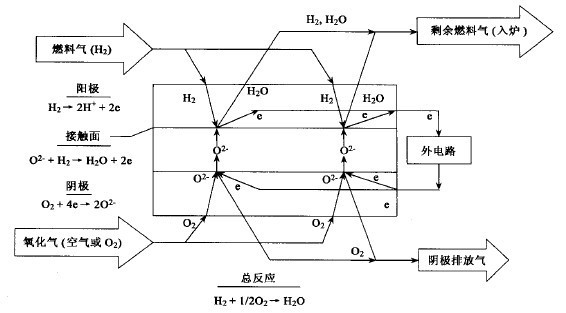 固体氧化物燃料电池的原理