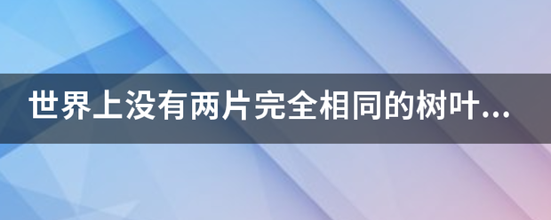 世界上没有两片完全相同的树叶