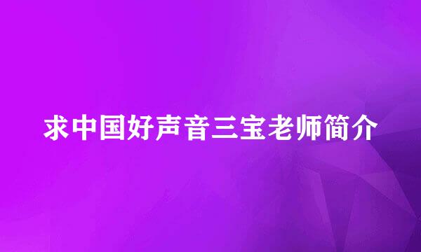 求中国好声音三宝老师简介