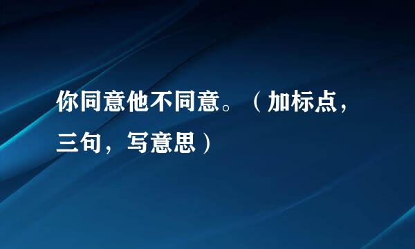 你同意他不同意。（加标点，三句，写意思）