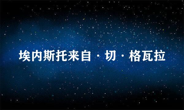 埃内斯托来自·切·格瓦拉