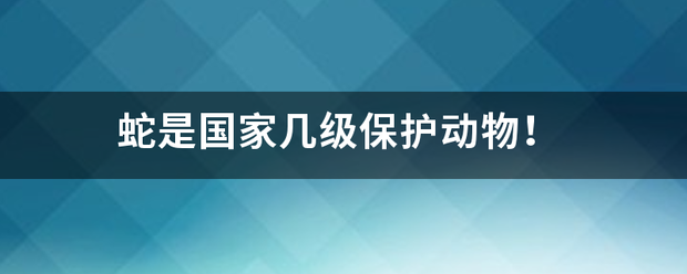 蛇是国家几级保护动物！