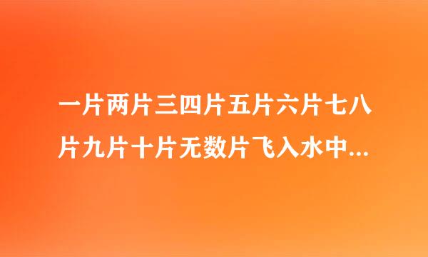 一片两片三四片五片六片七八片九片十片无数片飞入水中都不见这些是什么意思？