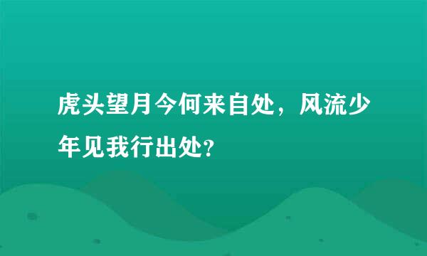 虎头望月今何来自处，风流少年见我行出处？