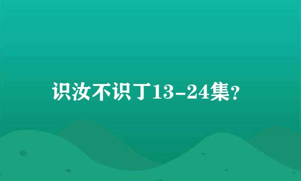 识汝不识丁13-24集？