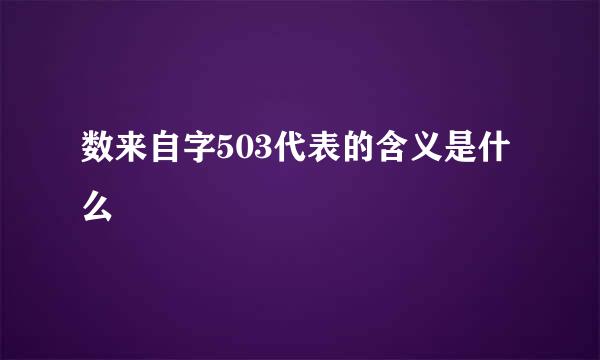 数来自字503代表的含义是什么