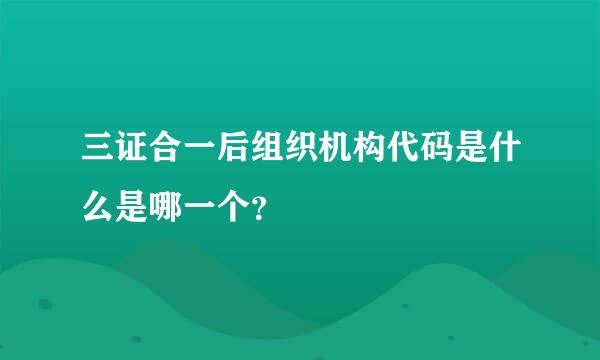 三证合一后组织机构代码是什么是哪一个？