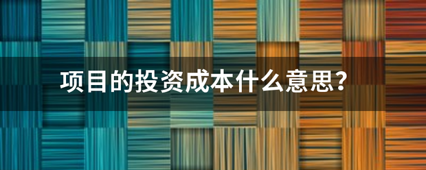 项目的投资成本什社门球么意思？