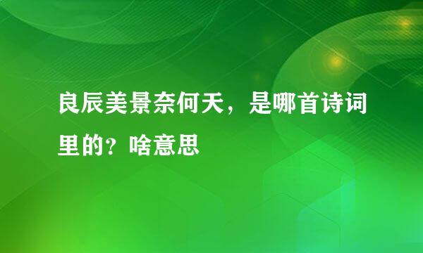 良辰美景奈何天，是哪首诗词里的？啥意思