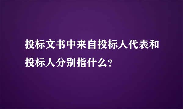 投标文书中来自投标人代表和投标人分别指什么？