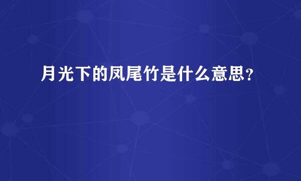 月光下的凤尾竹是什么意思？