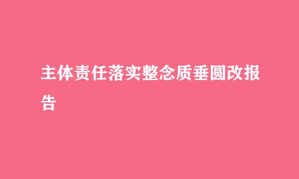 主体责任落实整念质垂圆改报告