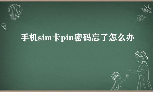 手机sim卡pin密码忘了怎么办